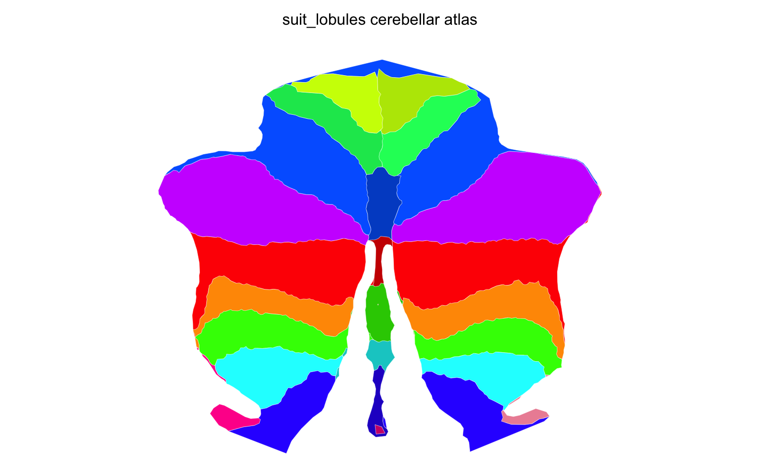 The same flatmap after simplification and smoothing, with rounded lobule boundaries.