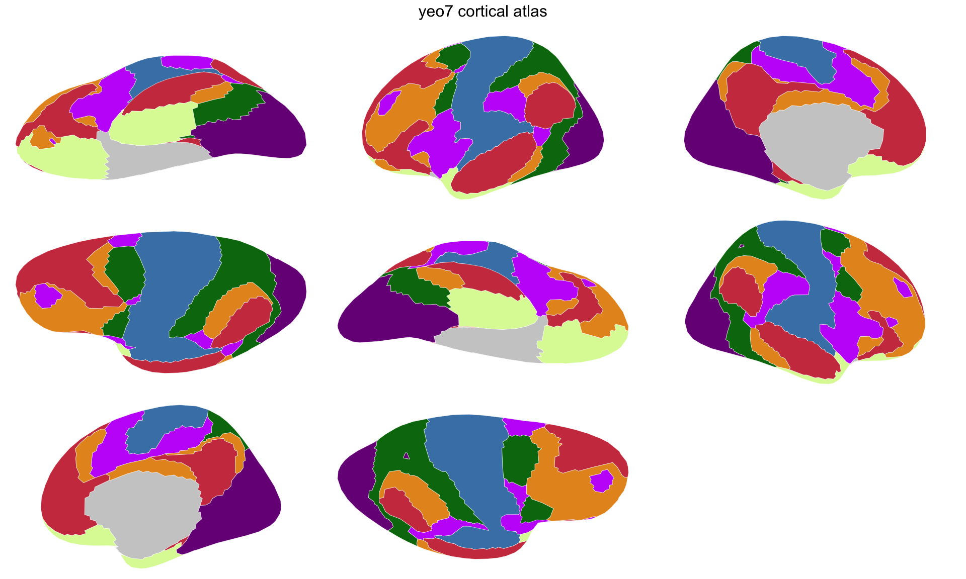 The same parcellation after simplification, with fewer vertices and straighter but still angular boundaries.