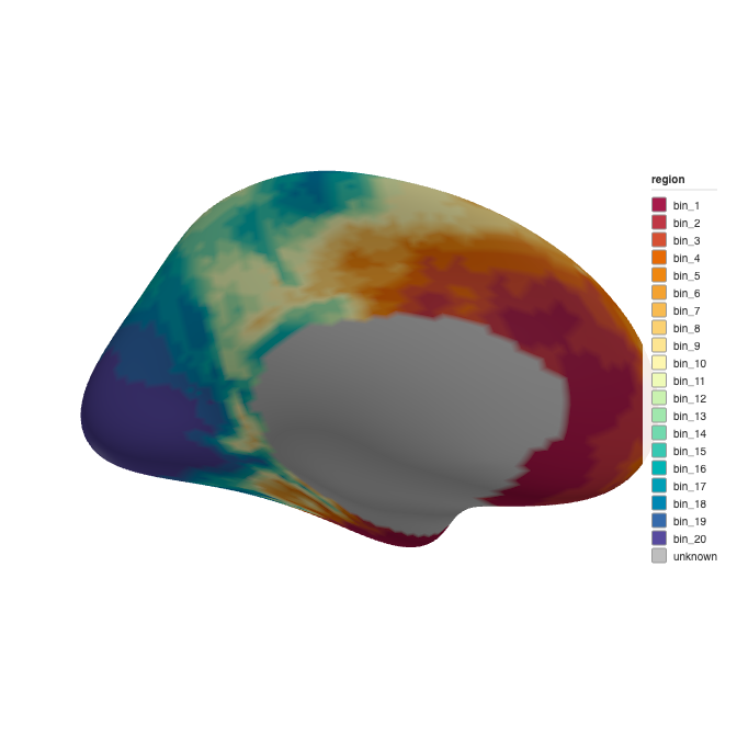 3D rendering of the left hemisphere coloured by 20 quantile bins, showing fine-grained spatial gradients.