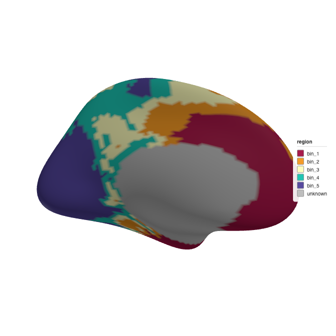 3D rendering of the left hemisphere coloured by 5 quantile bins of gene expression values, showing broad spatial patterns.
