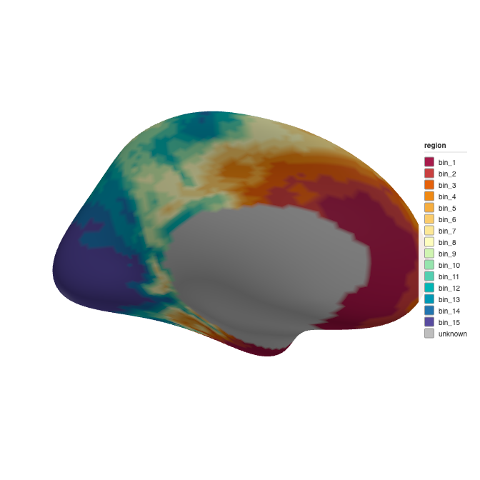 3D rendering of the left hemisphere coloured by approximately 14 auto-detected quantile bins, showing finer spatial detail than the 5-bin version.