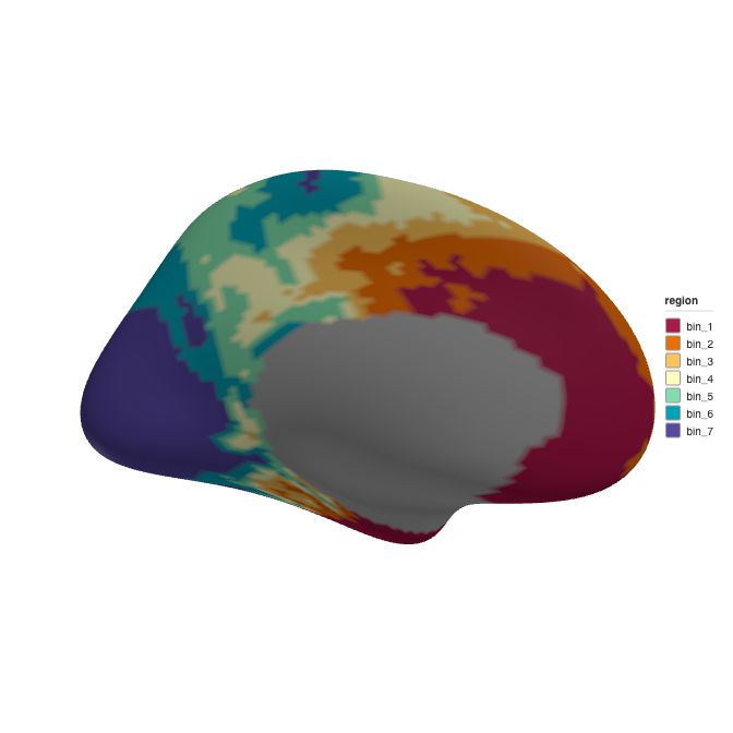 3D rendering of the left hemisphere showing the final gene expression atlas with 7 quantile bins coloured along a spectral gradient.
