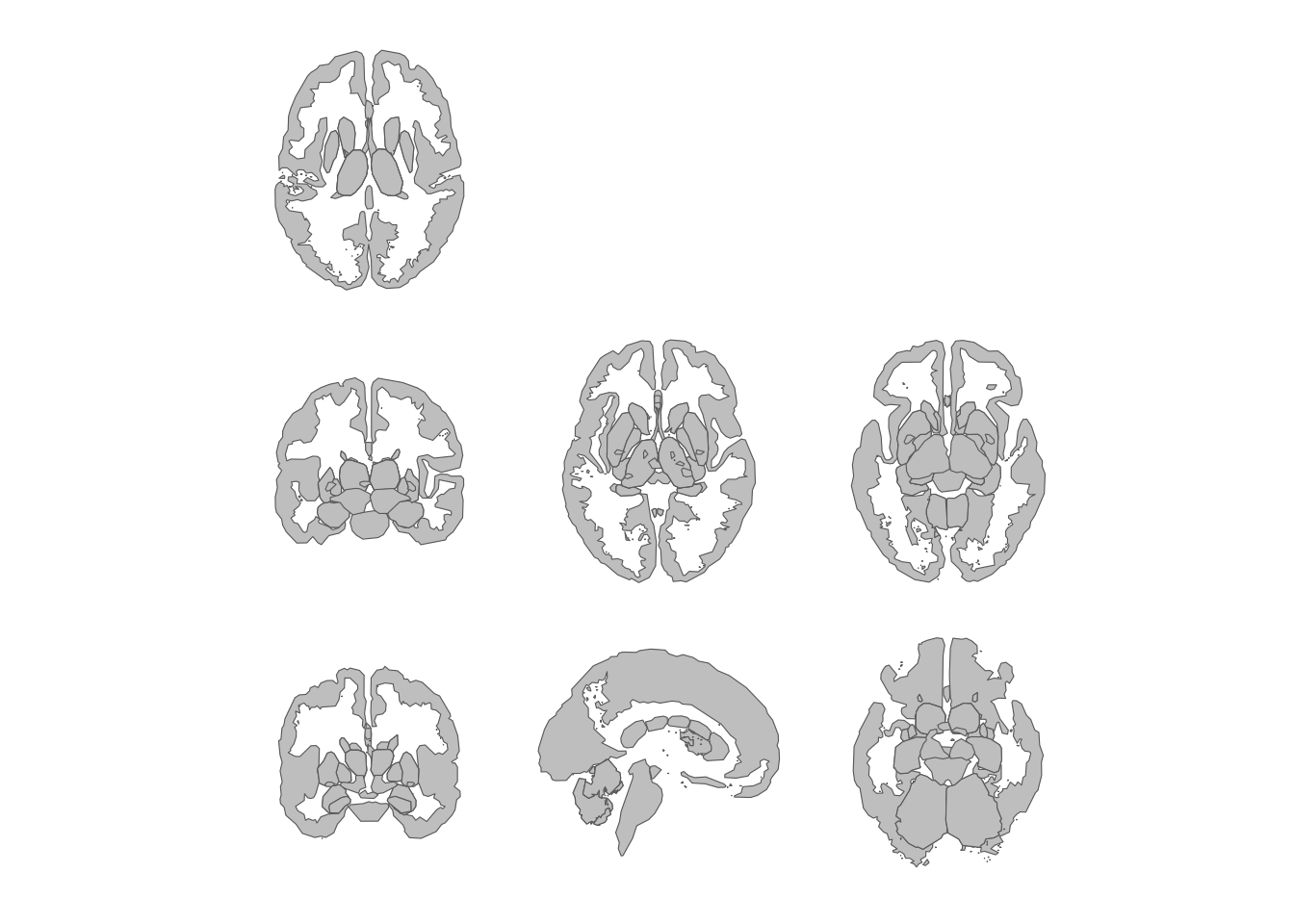 Subcortical atlas views in a three-column grid.