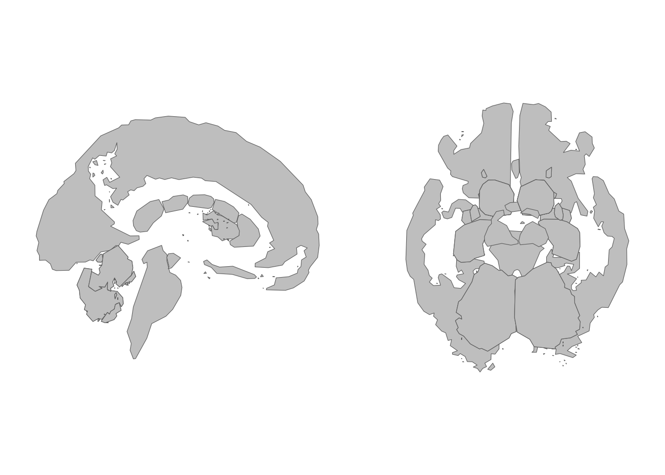 A subset of subcortical views selected by name.