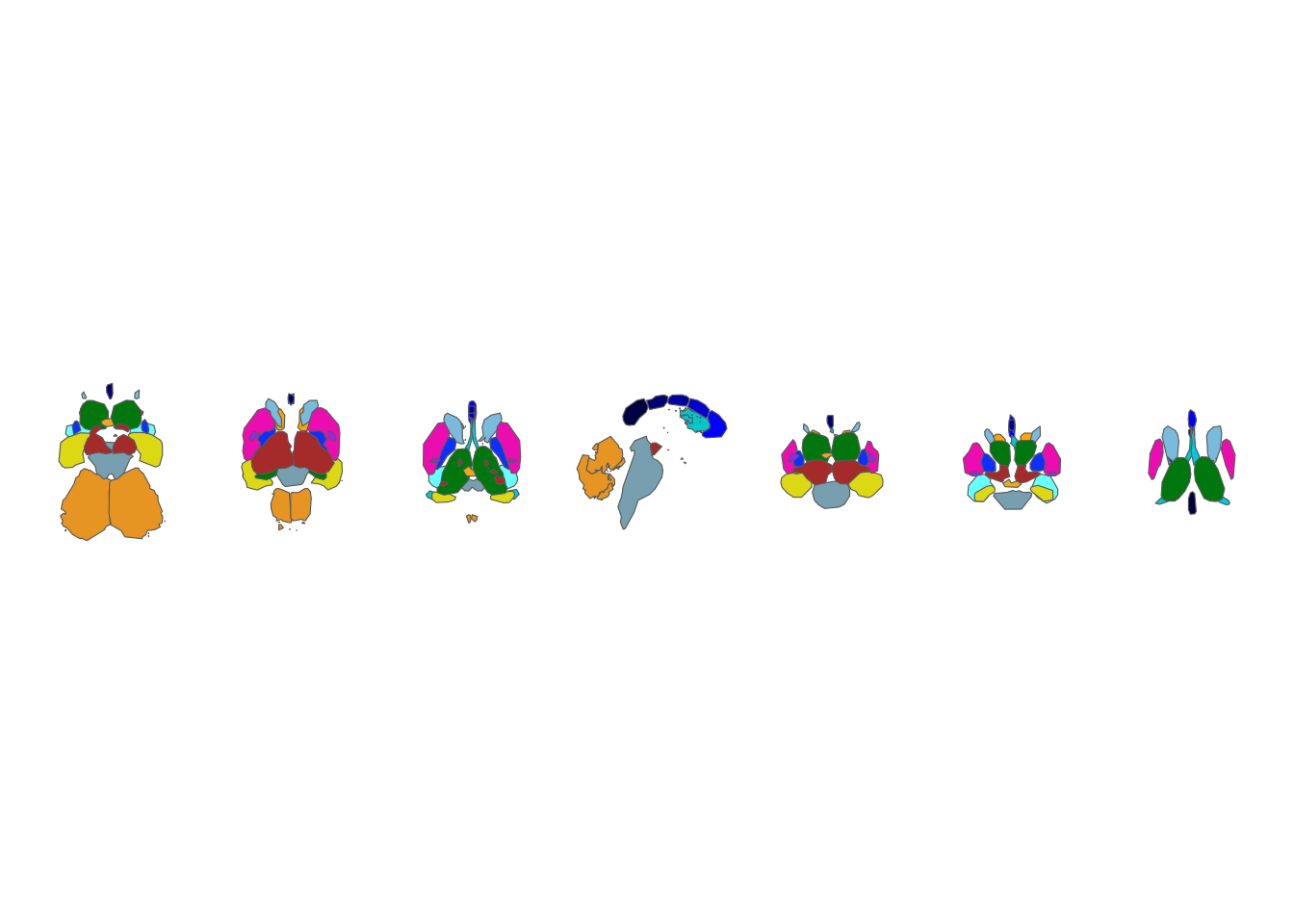 Subcortical atlas with the grey context regions removed.
