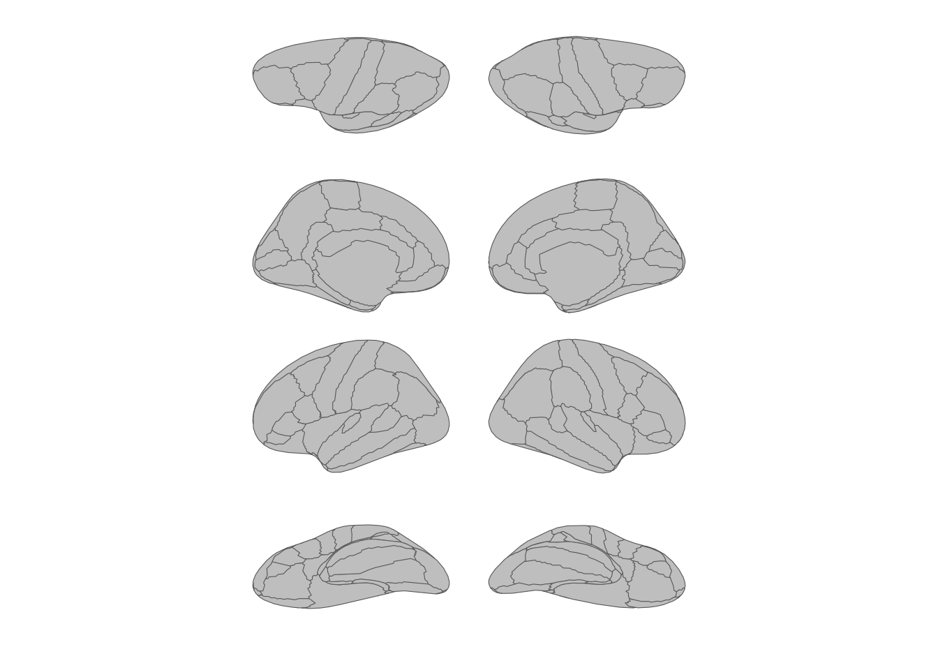 Transposed layout with views as rows and hemispheres as columns.
