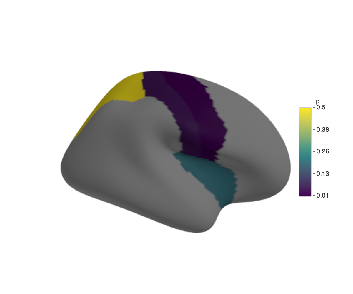 Right hemisphere with four cortical regions coloured on a blue-to-red scale by p-value; unmatched regions shown in grey.