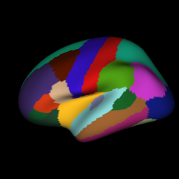 Left hemisphere rendered in rgl against a black background, region colours vivid against the dark canvas.
