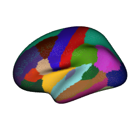 Left hemisphere rendered as a wireframe — the triangular mesh structure visible with each region in a different line colour.