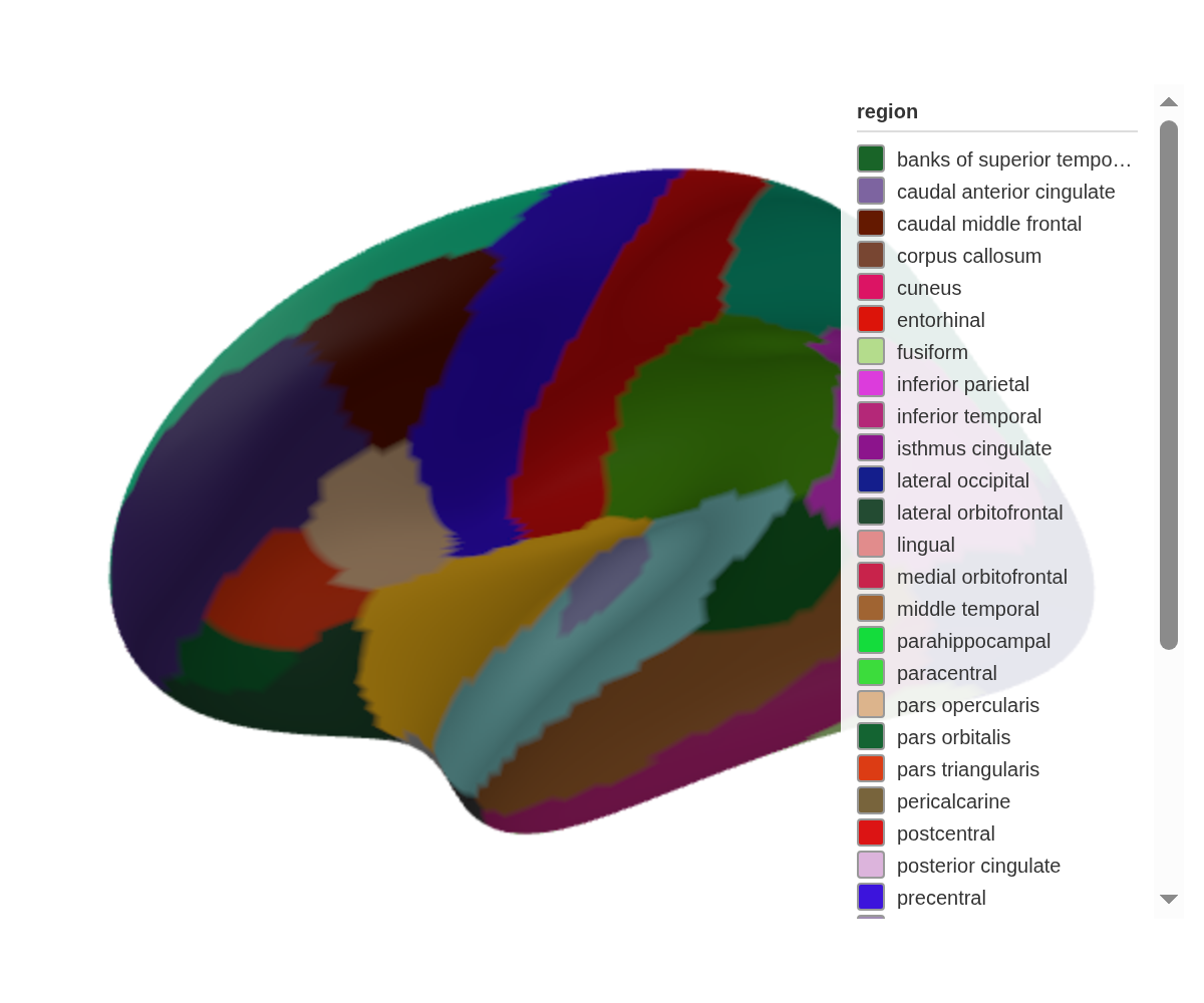 Both hemispheres in orthographic projection — regions appear the same size whether they face the camera or sit behind the brain.