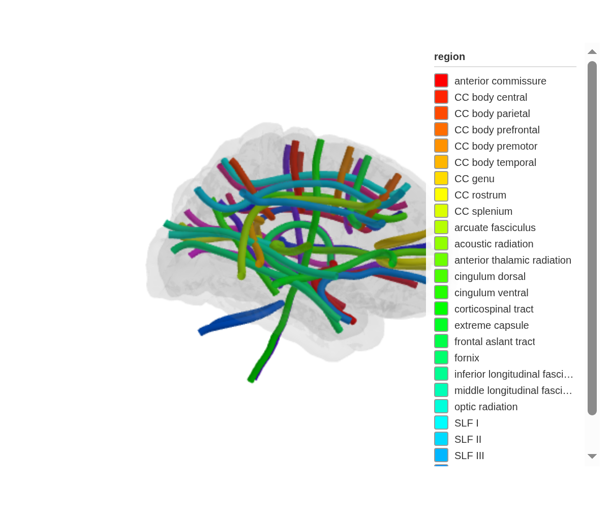 Major white matter tracts rendered as coloured tubes, visible through a faint cortical outline.