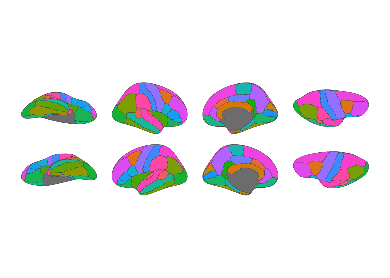 2D brain atlas showing the Desikan-Killiany parcellation