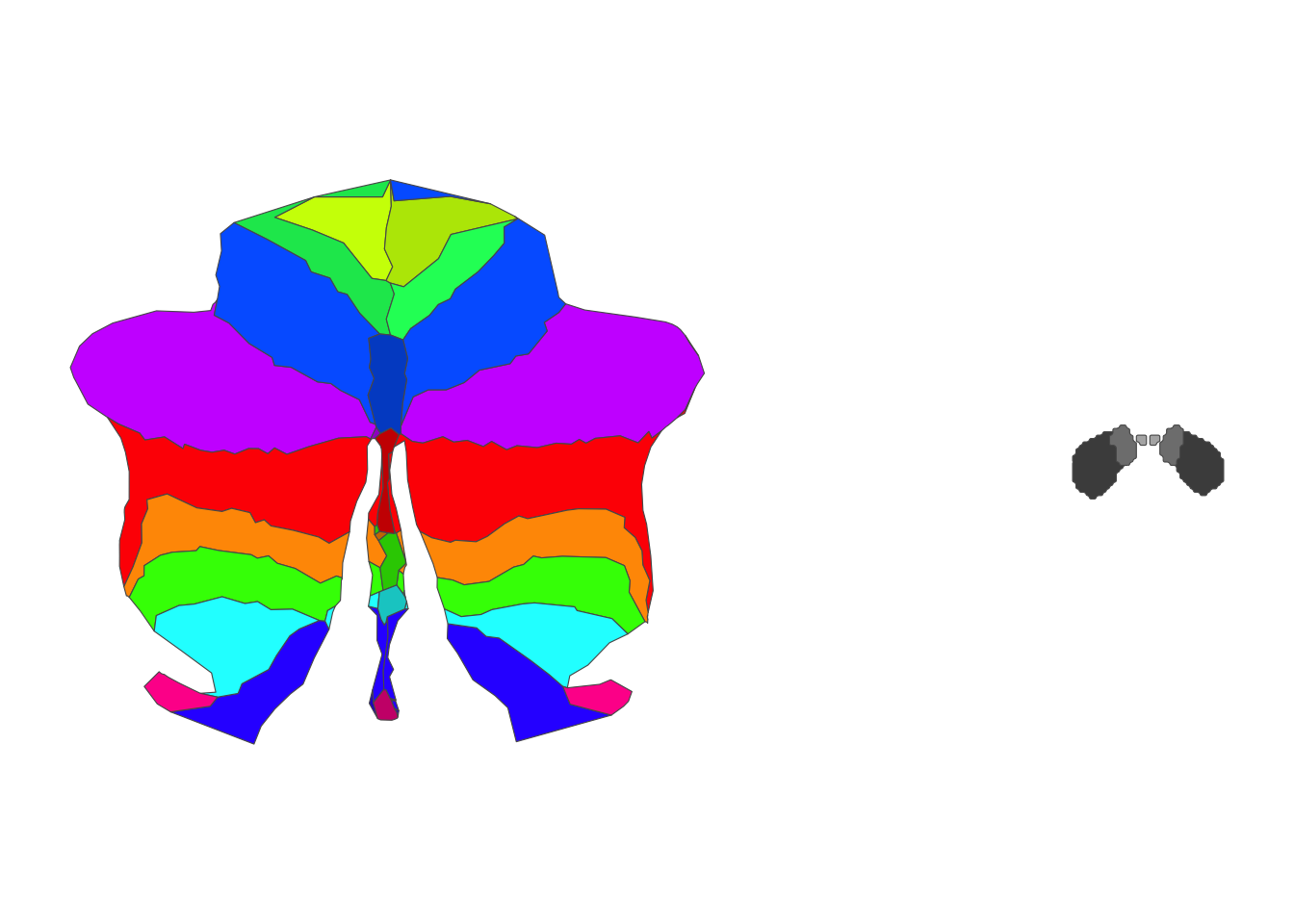 2D flatmap of the cerebellar cortex showing the SUIT anatomical lobule parcellation with 28 colored regions