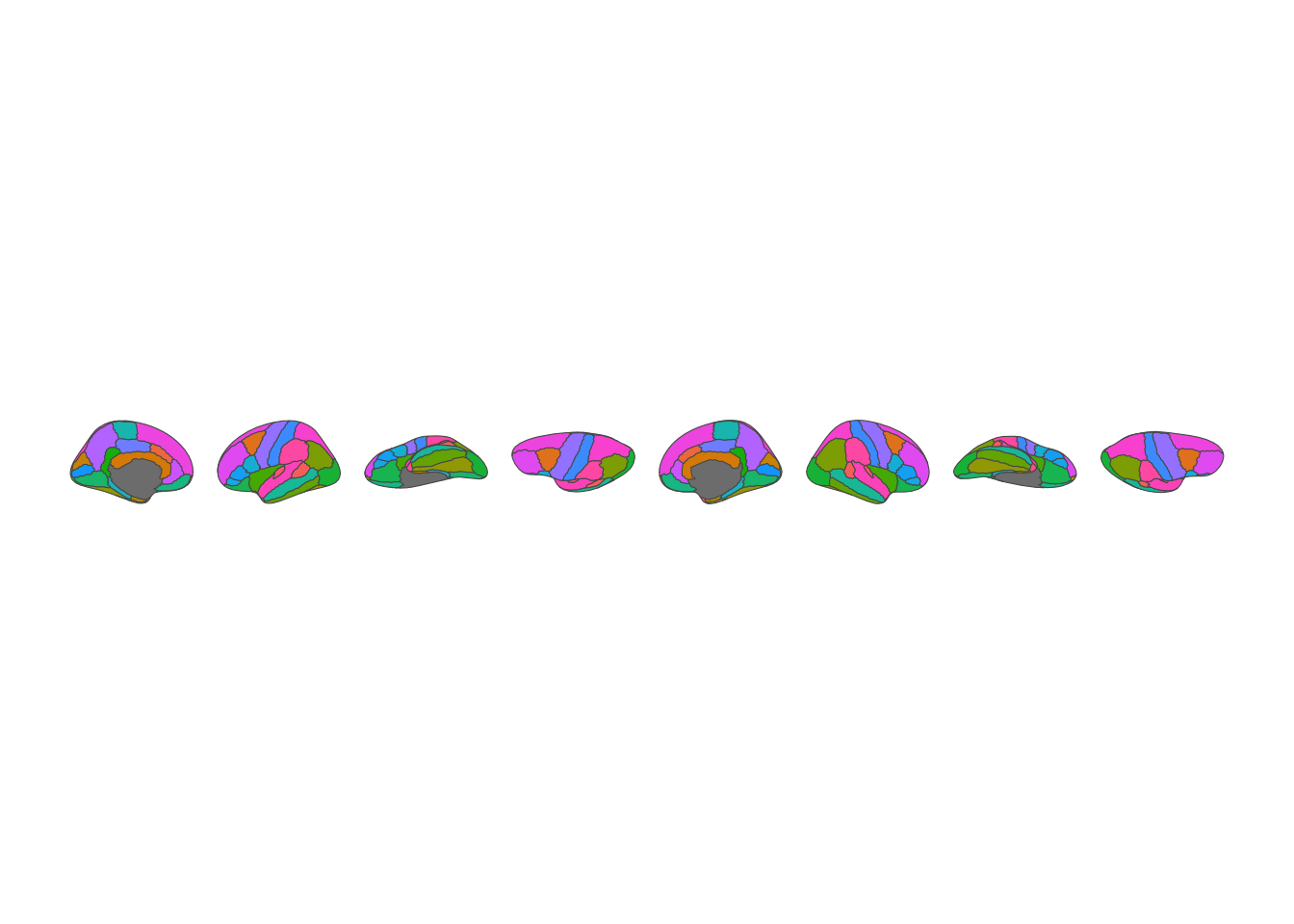 2D brain atlas visualization showing lateral and medial views of both hemispheres