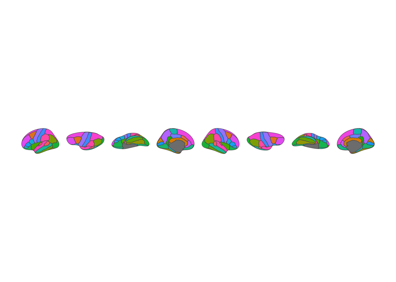 2D brain atlas visualization showing lateral and medial views of both hemispheres