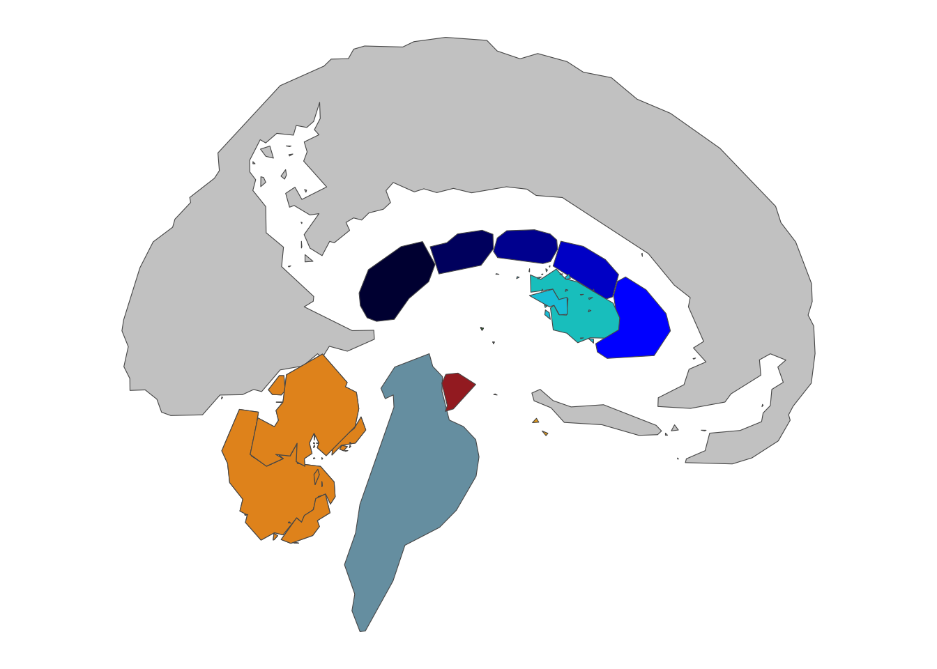 aseg atlas, sagittal view
