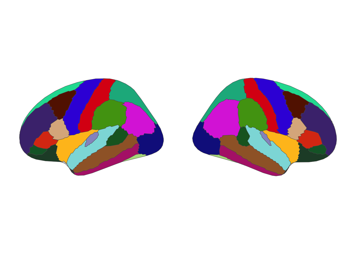 Desikan-Killiany atlas, lateral view