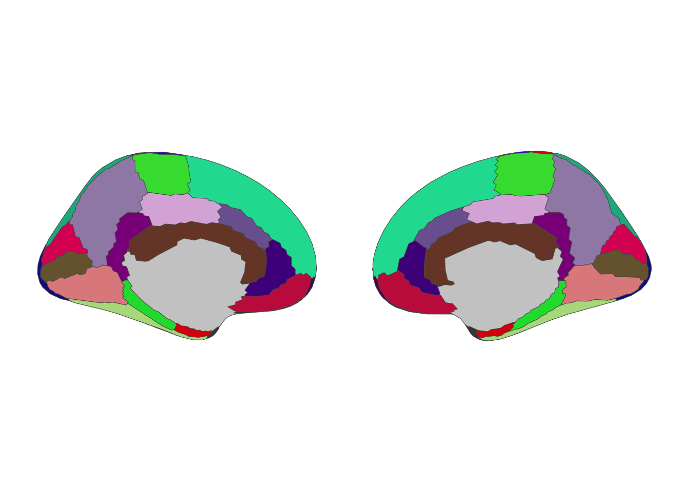 Desikan-Killiany atlas, medial view