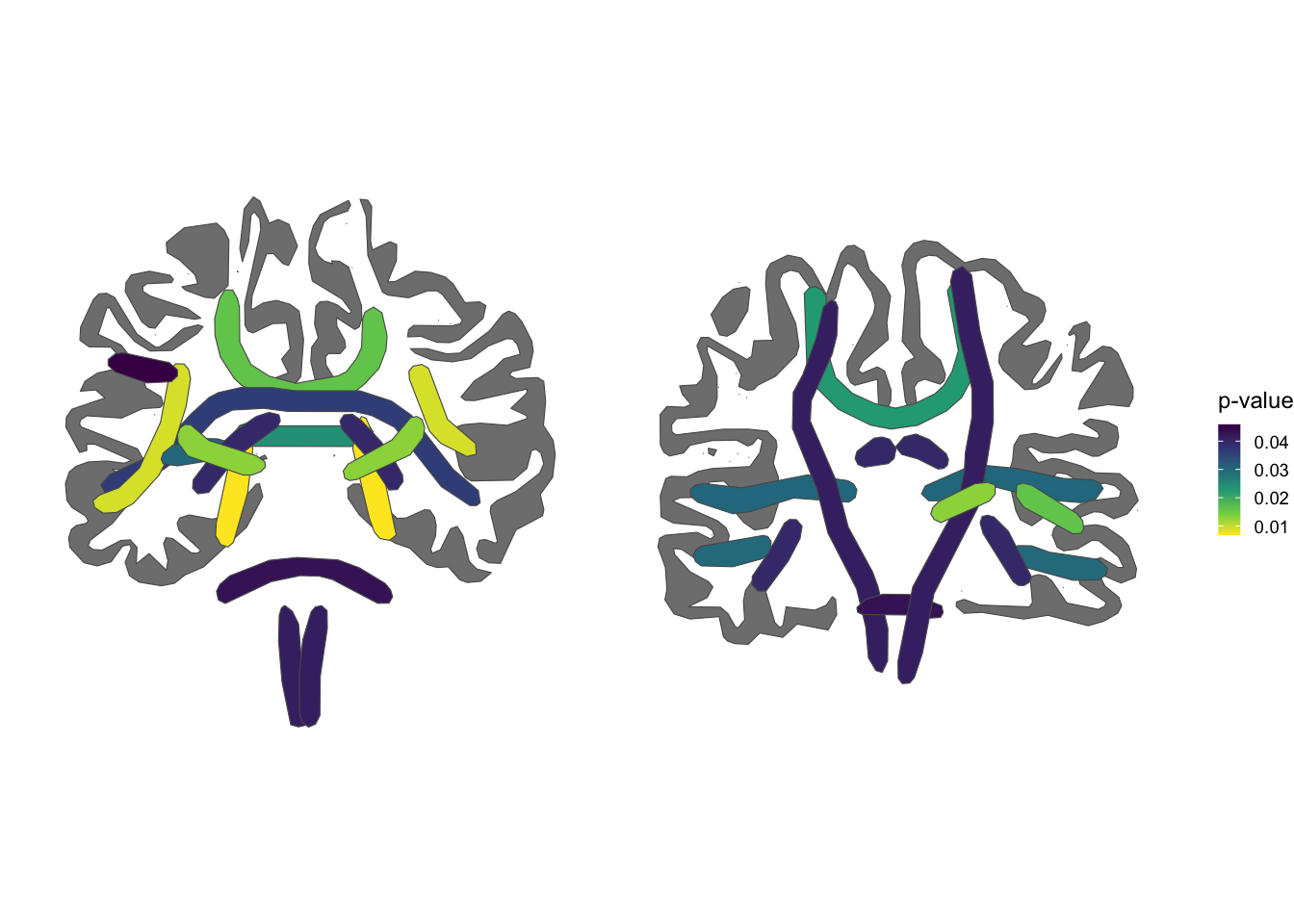 TRACULA atlas, coronal views, viridis